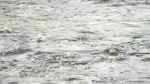 Waves on the surface of a river stream, 2x slow motion Stock Footage 168326382