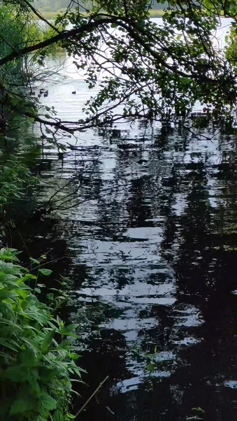 Waves on the surface of the water and reflections Stock Footage 277712078
