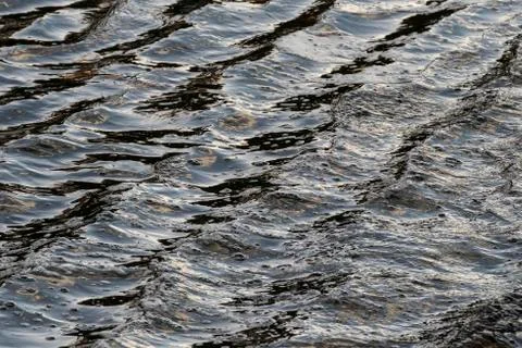 Waves in the surface of the water. Stock Photos