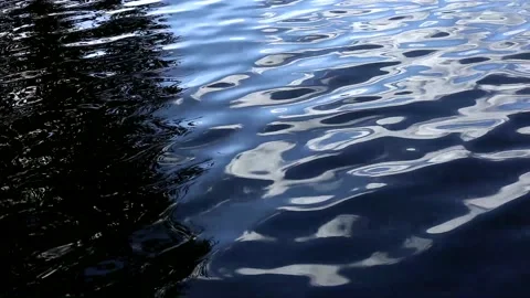 Waves on the surface of the water. Ripples on the water Stock Footage 219360151