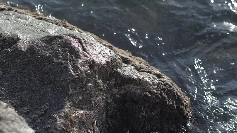 Waves Swirling Around a Rock in the Sea Stock Footage