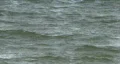 Waves Of Tampa Bay HD Footage