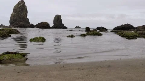 Waves at tidepools Stock-Footage 205257578