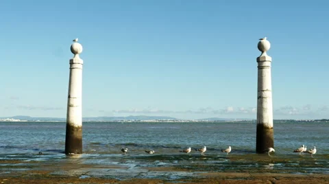 Waves touching the shore with sea gulls in the port Stock Footage 65047302