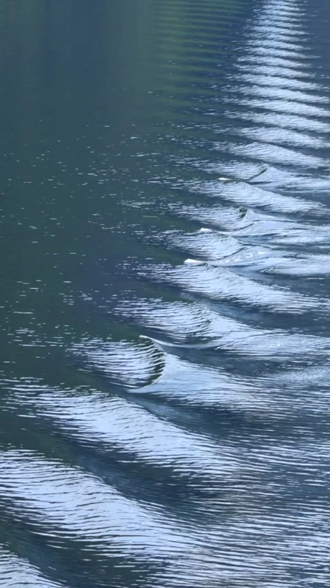 Waves trail behind a cruising ship Stock Footage 313173252