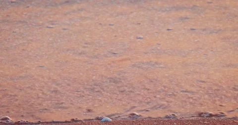 Waves of transparent ocean water on sandy beach. Calm mood in sunset light. Stock Footage 146020392