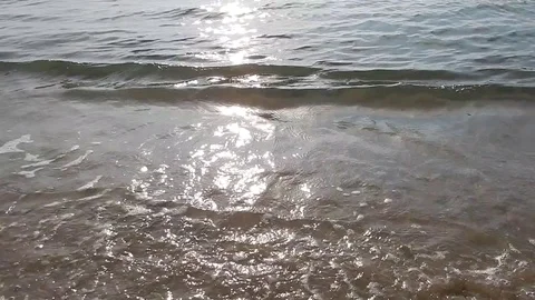 Waves of a transparent sea in a sandy beach at sunset. Stock-Footage 77137987