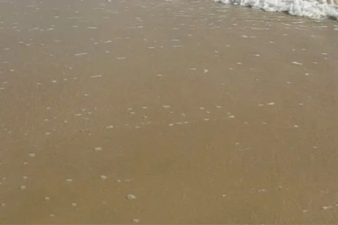 Waves in tropical beach Video stock 134054