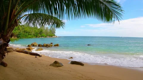 Waves of tropical sea water wash peacefully over a sandy beach, shaded by pal Stock Footage