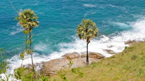 Waves on Tropical Shoreline Stock-Footage 56477573
