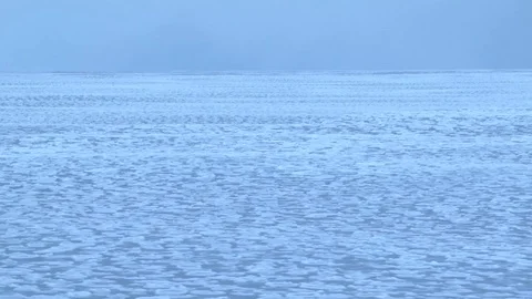 Waves under a layer of pancake ice Stock Footage 99613062