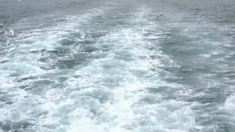 Waves under the motorboat. Water foams under the boat. HD Vídeos de archivo 100584053