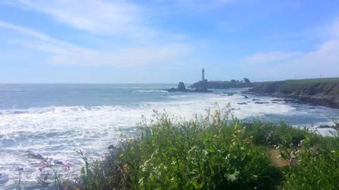 Waves at Venice Beach, Half Moon Bay, CA, USA Stock Footage 69107670