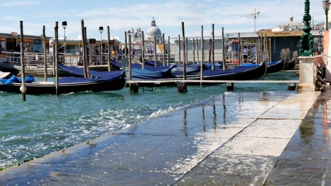 Waves from the Venice Lagoon. Vidéo 289234725
