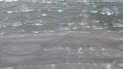 Waves Versus the Wind along the Coastline 库存影片 301475144