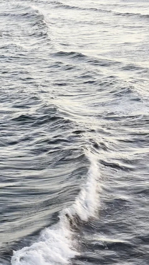 Waves vertical video Stock Footage 255303282