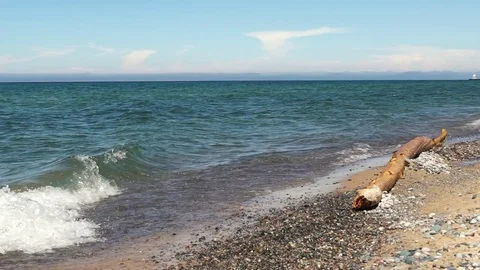 Waves Wash Up Driftwood On Beach Stock Footage 77516637