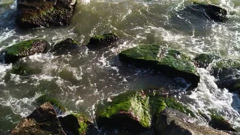 Waves wash the little shells on the sand Stock Footage 112753591