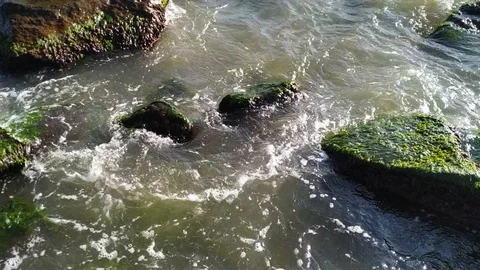 Waves wash the little shells on the sand Stock Footage 112753592