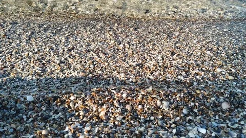 Waves wash the little shells on the sand Video stock 112753687