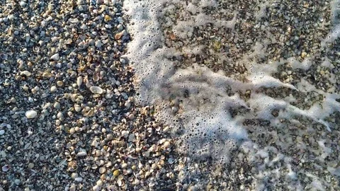 Waves wash the little shells on the sand Stock Footage 112753799