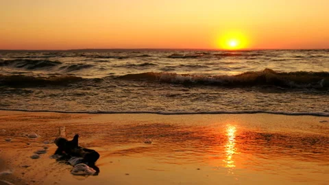 Waves wash the sand. The log lies on the beach. Beautiful time - sunset. 스톡 동영상 93973449
