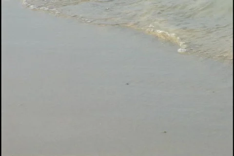 Waves Washing onto Beach Stock Footage 298613