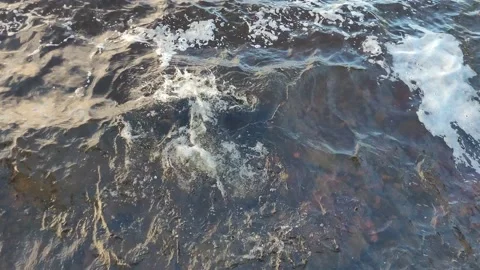Waves washing over rocks in lake Pyhäjärvi,  Tampere Stock Footage 165397480