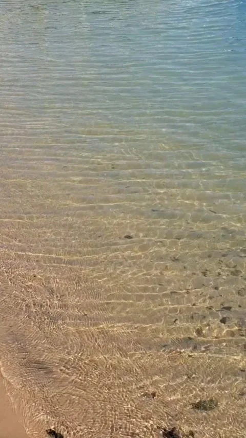 Waves washing over the shoreline Stock Footage 335959595