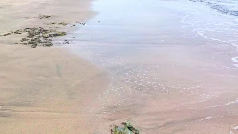 Waves Washing Over Wet Beach Sand – Relaxing Ocean Shoreline Texture Stock Footage 315084189