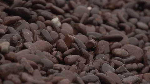 Waves washing on pebbles slow mo Stock Footage 100137447
