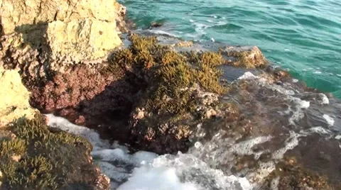 Waves washing a rock Stock Footage 10770204