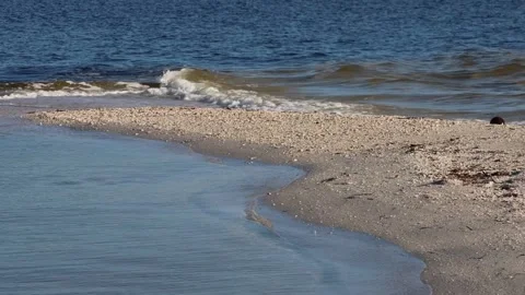 Waves washing up on a sandbar Stock Footage 164185686