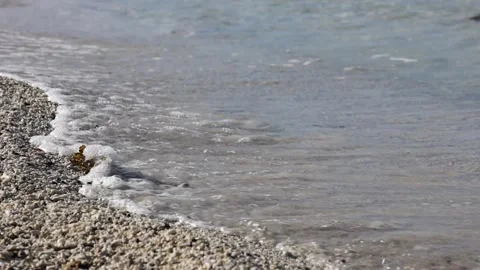 Waves washing up on the shore - closeup Stock Footage 137014739