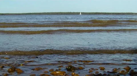 Waves washing up to the shore Stock Footage 913079