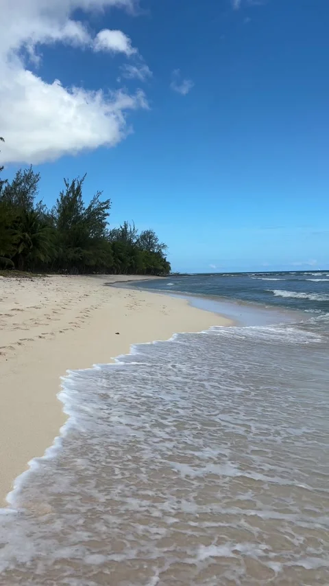 Waves washing onto white sand on Caribbean beach shoreline Barbados Stock Footage 335296416