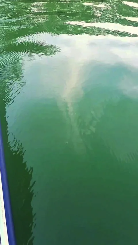 Waves on the water. close-up Stock Footage 291320550