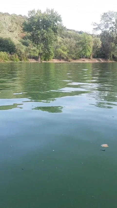 Waves on the water. close-up. vertical video Stock Footage 291321181