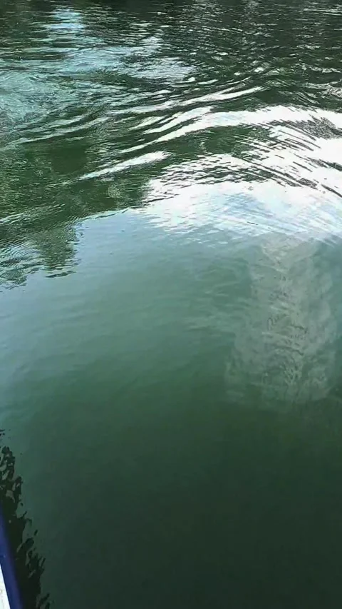 Waves on the water. close-up. vertical video Stock Footage 291321238