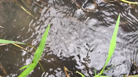 Waves of water flow in a river ditch Stock Footage 318722413
