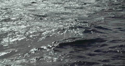 Waves in the water Stock Footage 129733814