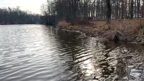 Waves on the water Stock Footage 310856915