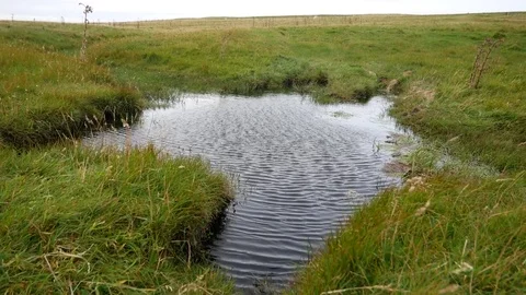Waves in water ripple with the wind Stock Footage 79627808
