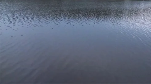 Waves on water in a river timelapse Stock Footage 82052167