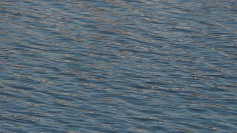 Waves on water in slow-motion Stock Footage 143331641