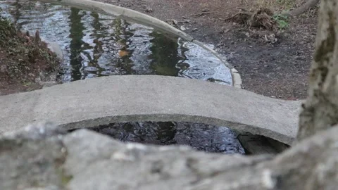 Waves on the Water in Spring Stock Footage 236241662