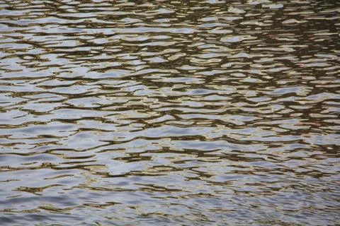 The waves of water that the sun has framed in gold Stock Photos