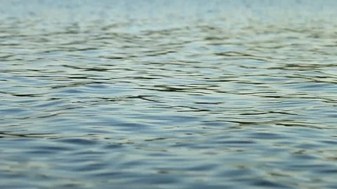 Waves on the water surface Stock Footage 78088310