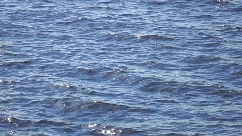 Waves on water surface. Stock Footage 98407354