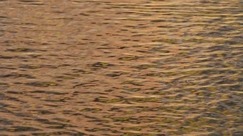 Waves water surface with golden reflections Stock Footage 61289163